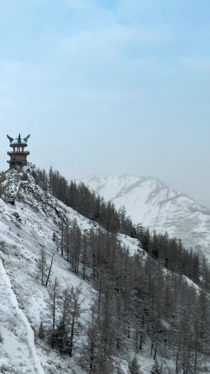 航拍新疆喀纳斯雪景风光29秒视频
