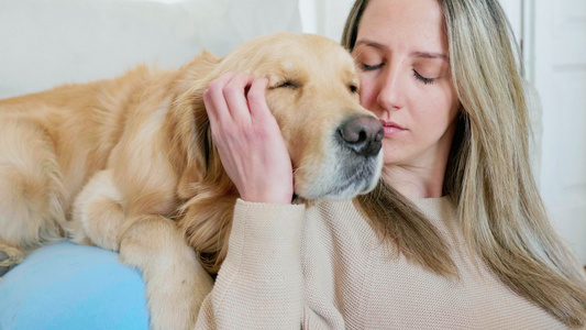 意大利米兰抚摸和亲吻金毛猎犬的女人视频