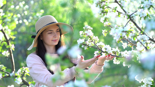 美丽的年轻女子享受着盛开的苹果花春果园视频