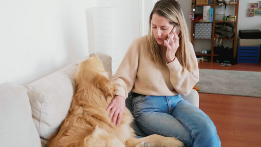 意大利米兰女人在电话里聊天抚摸着刷着金毛的猎犬视频