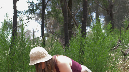 澳大利亚维多利亚州森林里背着背包的年轻女子视频