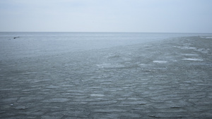 冰覆盖的海面21秒视频