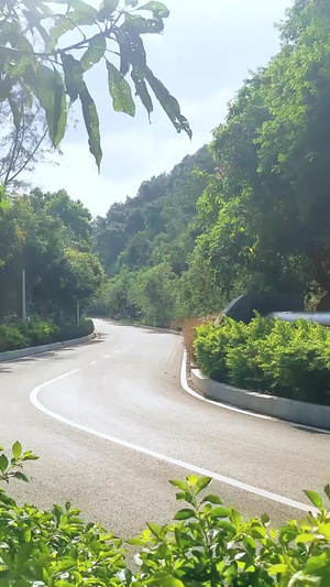 蜿蜒曲折的崎岖公路旅途中10秒视频
