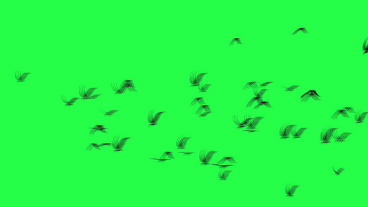 偏僻天空鸟群 - 绿屏视频