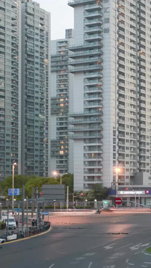上海商业街高楼大厦车流夜景延时过渡镜头10秒视频