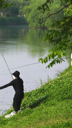 湖边钓鱼的人们55秒视频