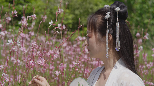 4k花中玩耍嬉戏的汉服女孩视频