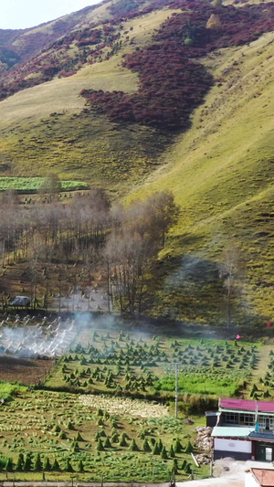 航拍秋色中的小山村新农村47秒视频