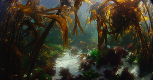 海藻和海胆20秒视频