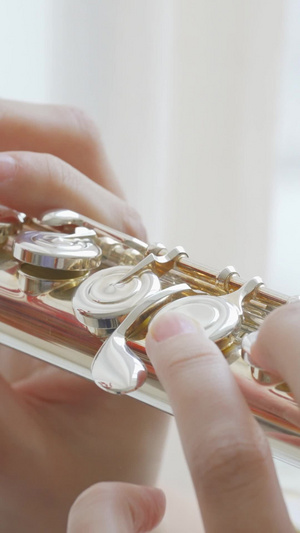 西洋长笛指法技巧弦乐器21秒视频