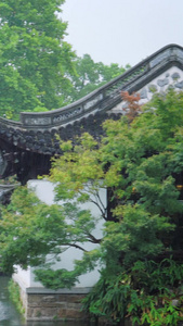 夏季雨天江南梅雨时节空镜视频古建筑视频