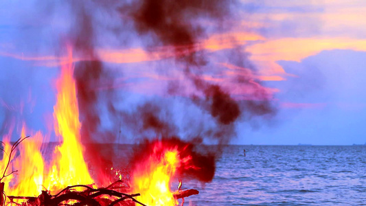 海洋附近的烧柴和垃圾对海洋生物造成污染;以及视频