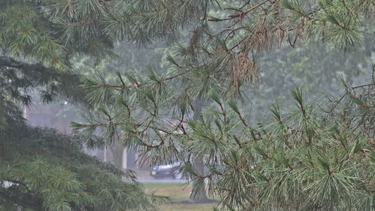 暴雨期间城市街上下着大雨滴落视频