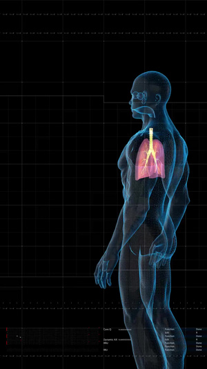 三维科技展示人体肺功能30秒视频