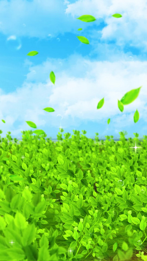 春天绿色植物背景素材20秒视频