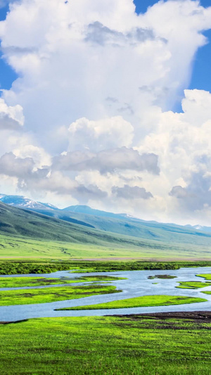 美丽草原的夏季风景10秒视频