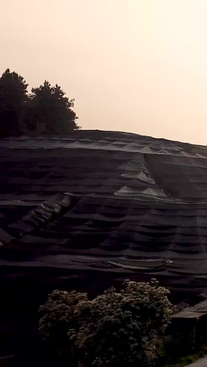 茶园防晒布大面积铺盖航拍视频茶树防护69秒视频