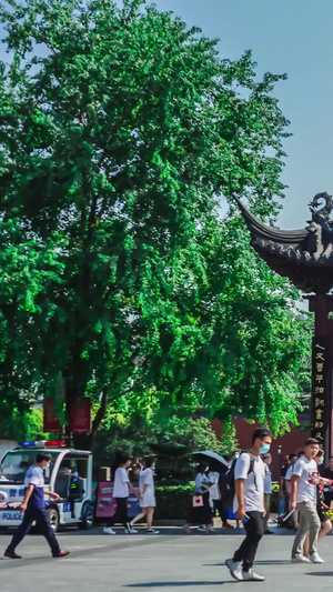实拍南京5A景区夫子庙天下文枢牌楼人流延时摄影10秒视频