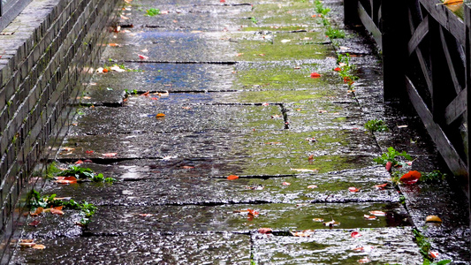 雨滴滴落在石板路上视频