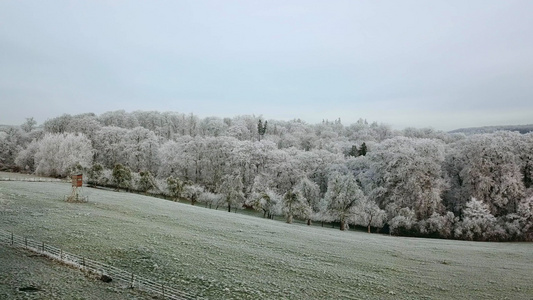 德国森林白雪皑皑视频