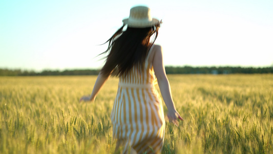 穿着长发的美女 在日落夏天在小麦田里跑,自由的概念视频