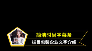 4K简洁时尚字幕条会声会影模板20秒视频