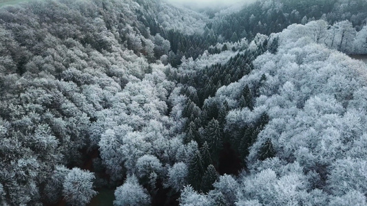 德国森林的冬天航拍视频