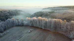 德国萨尔堡冬天景观与森林21秒视频