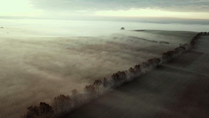 田野上的雾24秒视频