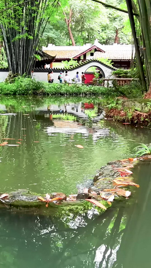 成都4A旅游景点杜甫草堂博物馆园林视频素材4A景区49秒视频