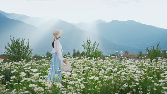 4K花海里的少女视频