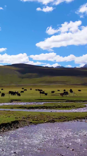 航拍青海久治年保玉则高原雪山风光航拍藏族30秒视频