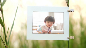 AE模拟 阳光明媚芦苇丛儿童照片写真展示99秒视频