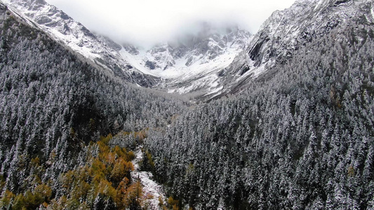 航拍四川阿坝州著名景区四姑娘山雪景视频视频