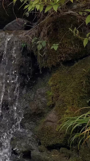 实拍山间流水高山流水20秒视频