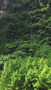 航拍湖北恩施利川5A级旅游景区世界第二大溶洞腾龙洞入口素材中国第一大溶洞视频