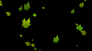绿叶飘落元素带透明通道30秒视频