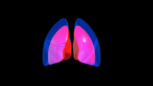 4K人体肺动画元素带透明度通道视频