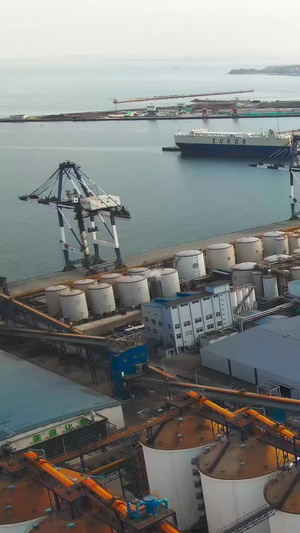 实拍沿海城市港口码头货物运输化工厂76秒视频