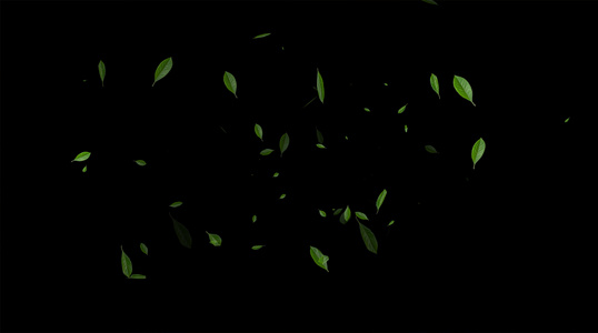 4K 绿叶飘落粒子元素带透明度通道视频