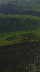 湖面上的光斑视频