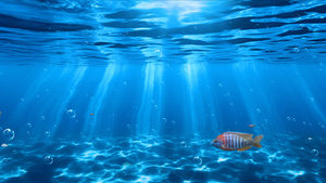 海洋动物世界背景视频40秒视频