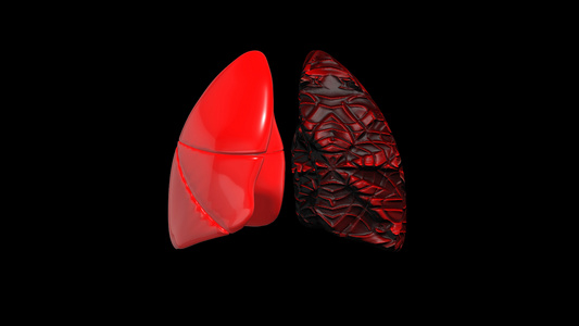 4K人体肺部动画元素带透明度通道视频