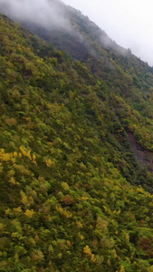 川西高原山谷中蜿蜒的公路航拍视频四川旅游视频