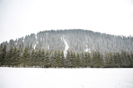 新疆5A景区那拉提大草原雪景视频