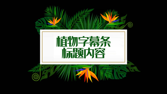 植物生长字幕条视频素材视频