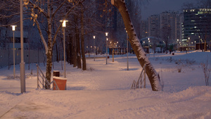 下雪后公园里满是雪9秒视频