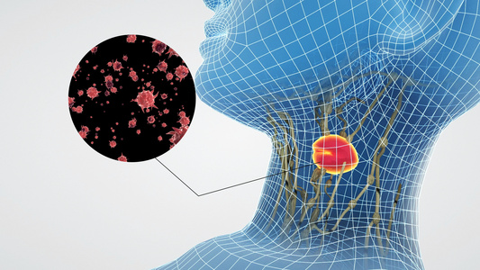 3d淋巴病毒感染动画视频