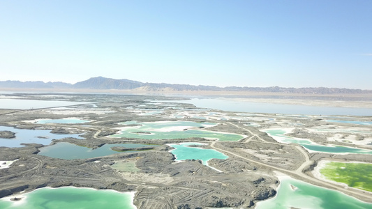 青海湖湿地视频