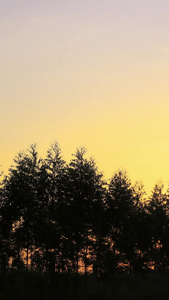 日出太阳从树林后面慢慢升起视频